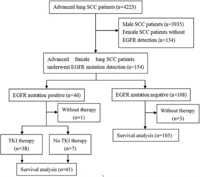 Epidermal Growth Factor Receptor Mutation Status and Response to Tyrosine Kinase Inhibitors in Advanced Chinese Female Lung Squamous Cell Carcinoma: A Retrospective Study